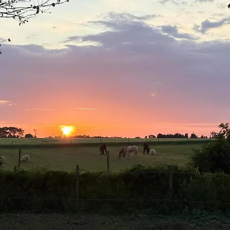 Le Cocon De Roquelande Equestrian Boarding House Holiday home