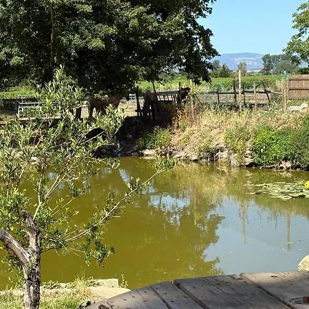 Le Cocon De Roquelande Equestrian Boarding House * Arzens