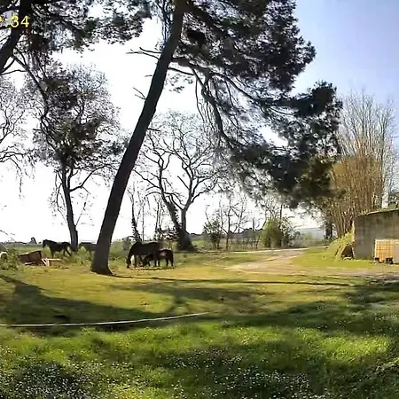 Holiday home Le Cocon De Roquelande Equestrian Boarding House *