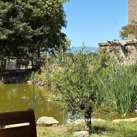 Holiday home Le Cocon De Roquelande Equestrian Boarding House *